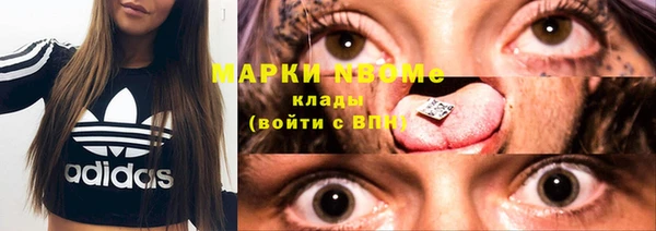 ешки Ельня