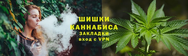 ешки Ельня