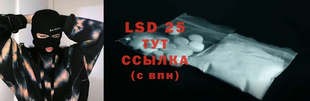 Альфа ПВП Елизово