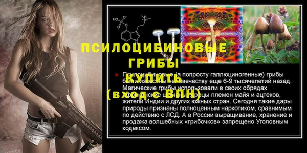 Альфа ПВП Елизово