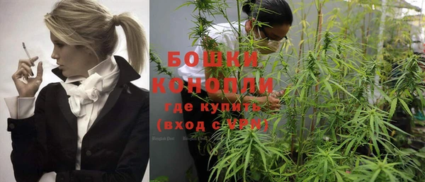 Альфа ПВП Елизово