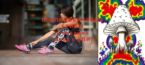 ешки Ельня