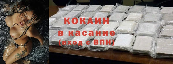 ешки Ельня