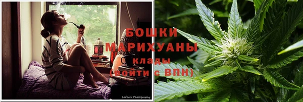 ешки Ельня