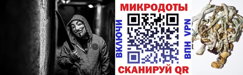 Галлюциногенные грибы Psilocybe  Купить  Сорочинск 